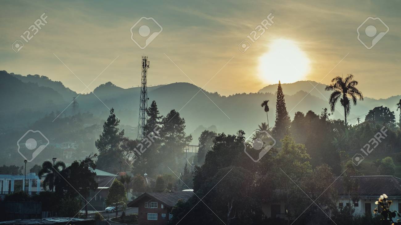 etiam-dictum-ipsum-a-felis