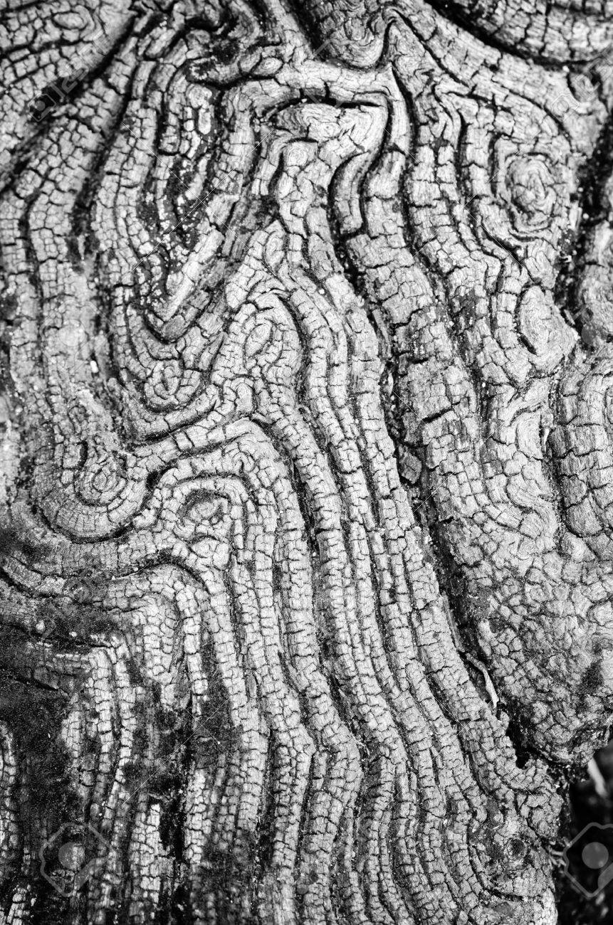 marmorbodenbeschaffenheit standardbild textur der alten holz schwarz und weiß in natur wassererosion ist der alten und in marmorbodenbeschaffenheit standardbild textur der alten holz schwarz und weiß in natur wassererosion ist der alten und in