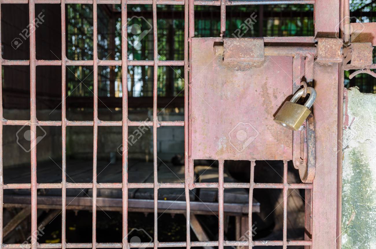 Steel Cage Door Was Locked With A Key The Problem Of Illegal