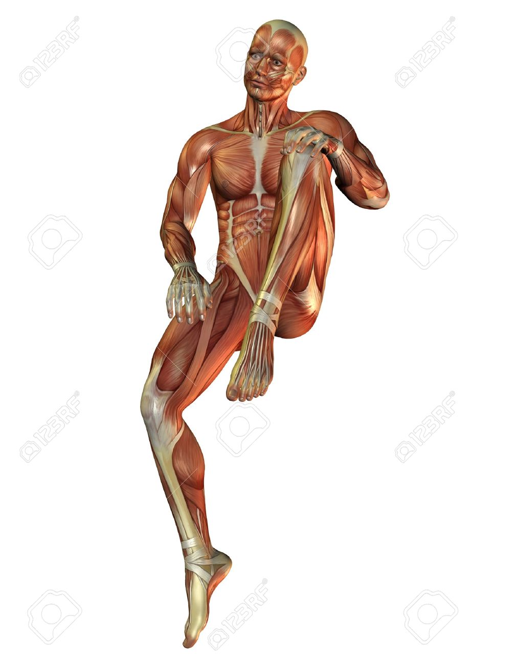3d Rendering Muscle Man In A Sitting Posture Stock Photo Picture And Royalty Free Image Image 10050095