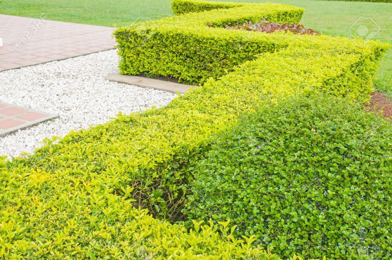 植え込み の写真素材・画像素材. Image 21218579.