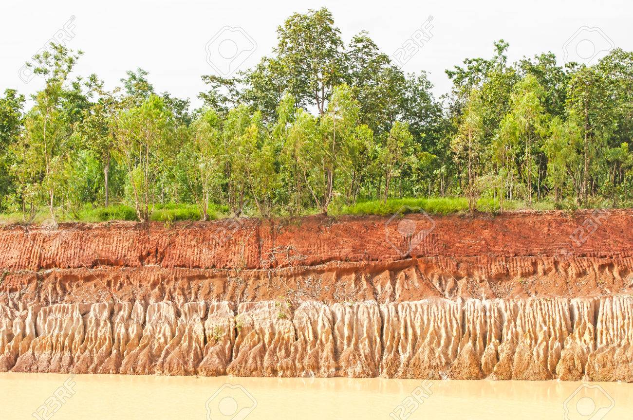 木と水の侵食に伴う土壌侵食のセクションの写真素材・画像素材 Image 23182749