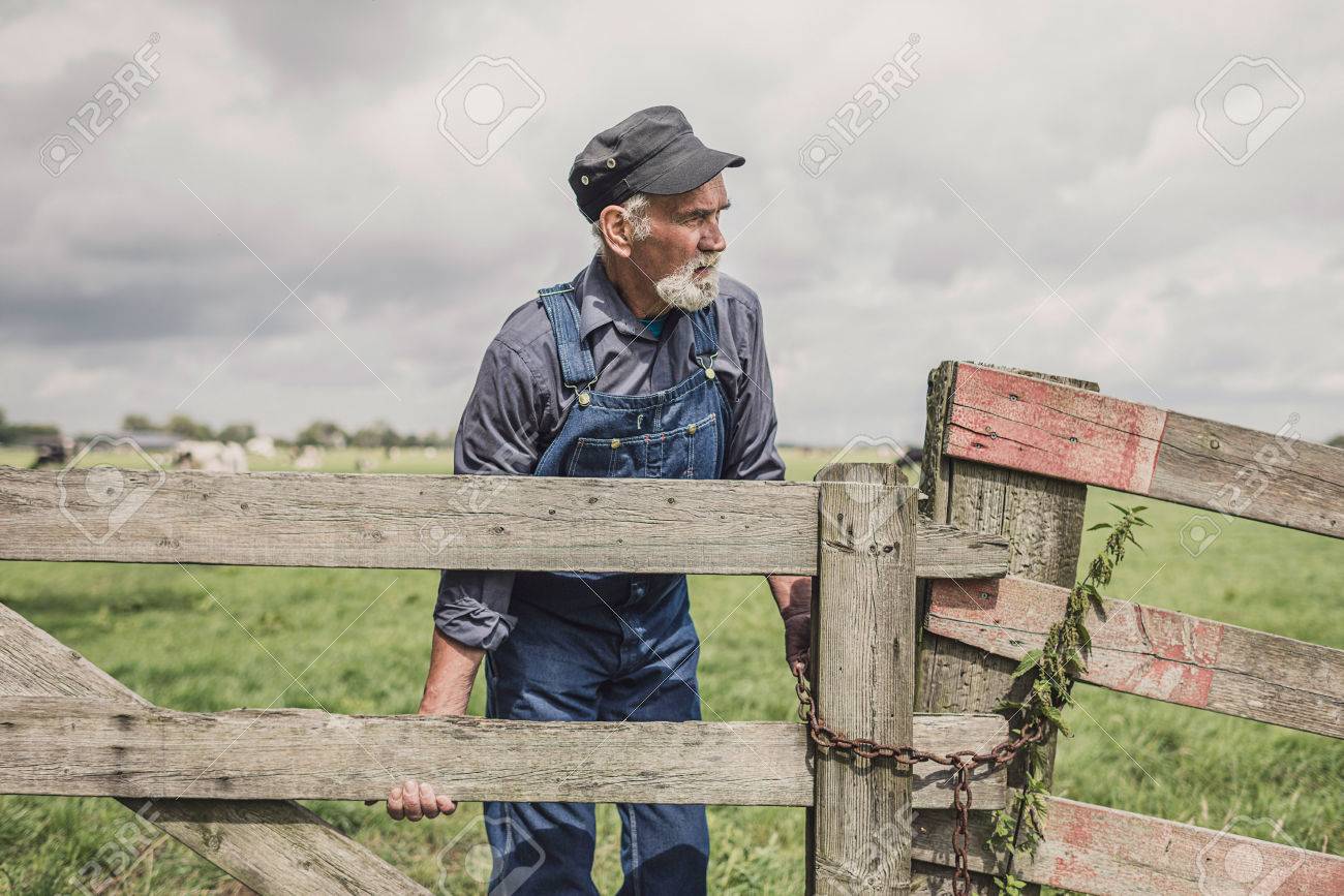 Elderly Farmer Standing Leaning On A Wooden Fence Surveying His ...