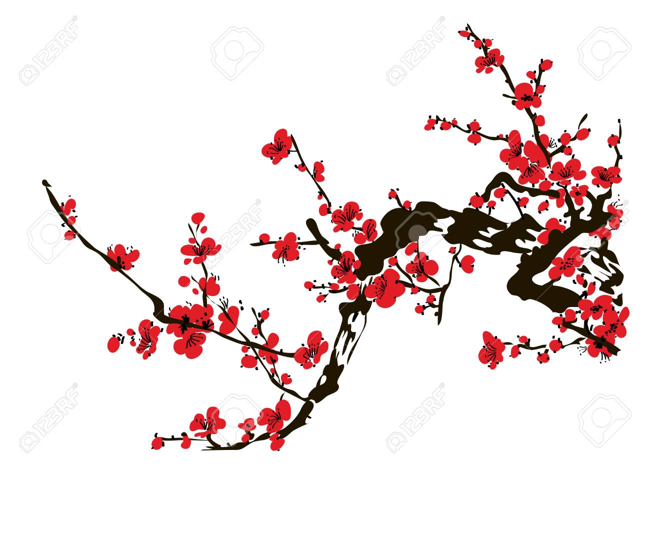 Realistic Sakura Blossom Japanese Cherry Tree Isolated On White