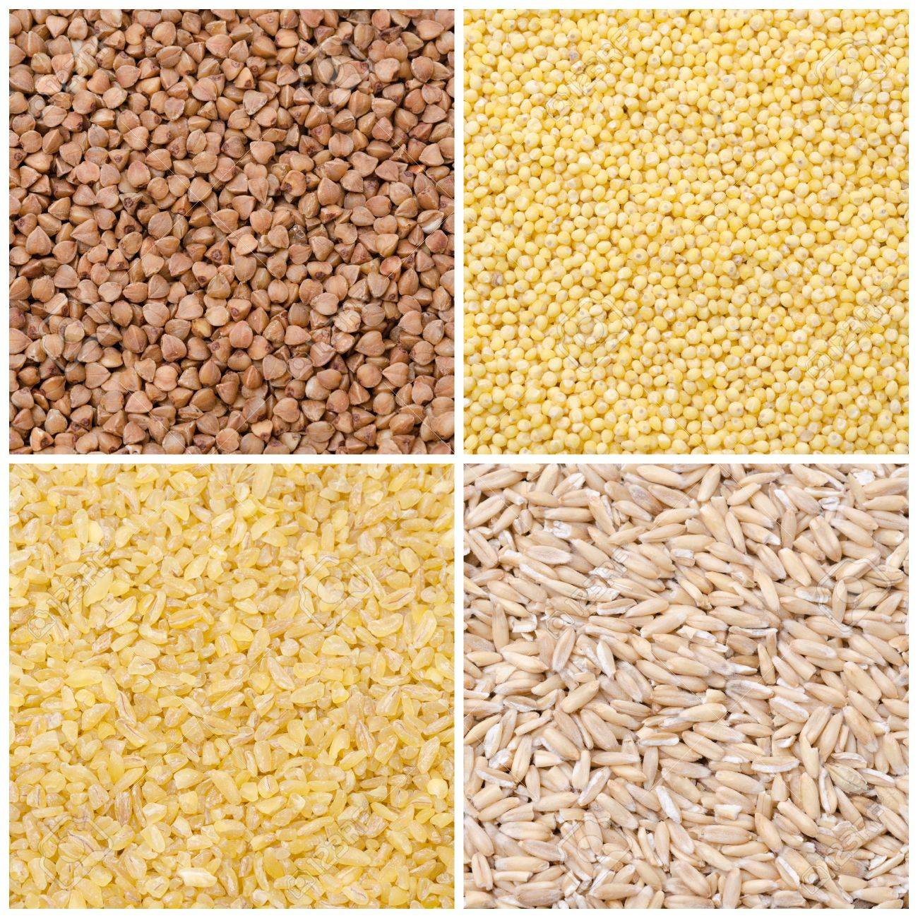 Collage Of Different Kinds Of Groats Buckwheat, Oats, Bulgur, Millet  Close-up Stock Photo, Picture and Royalty Free Image. Image 19874258.