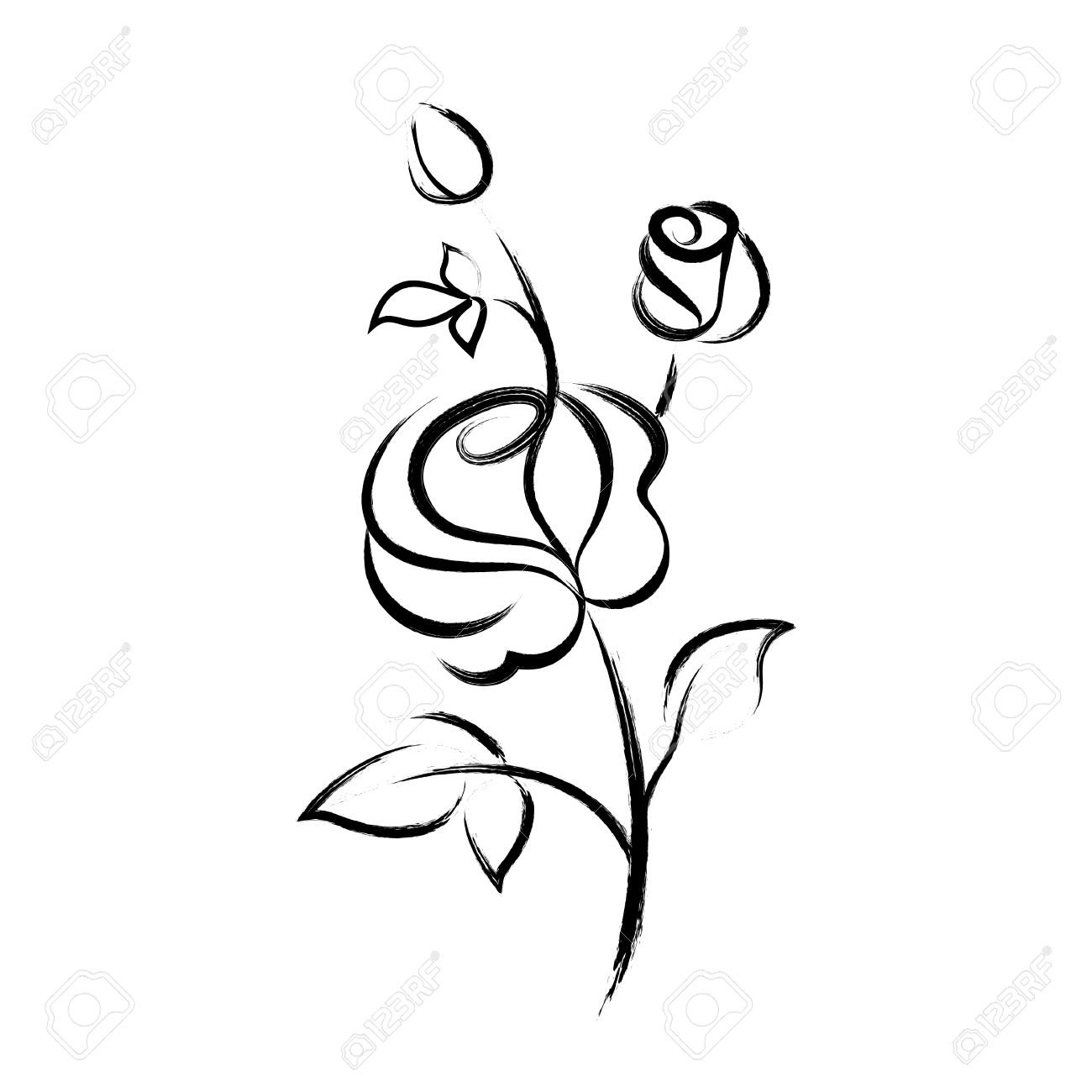 black hand drawn rose isolated on white background royalty free drawn rose