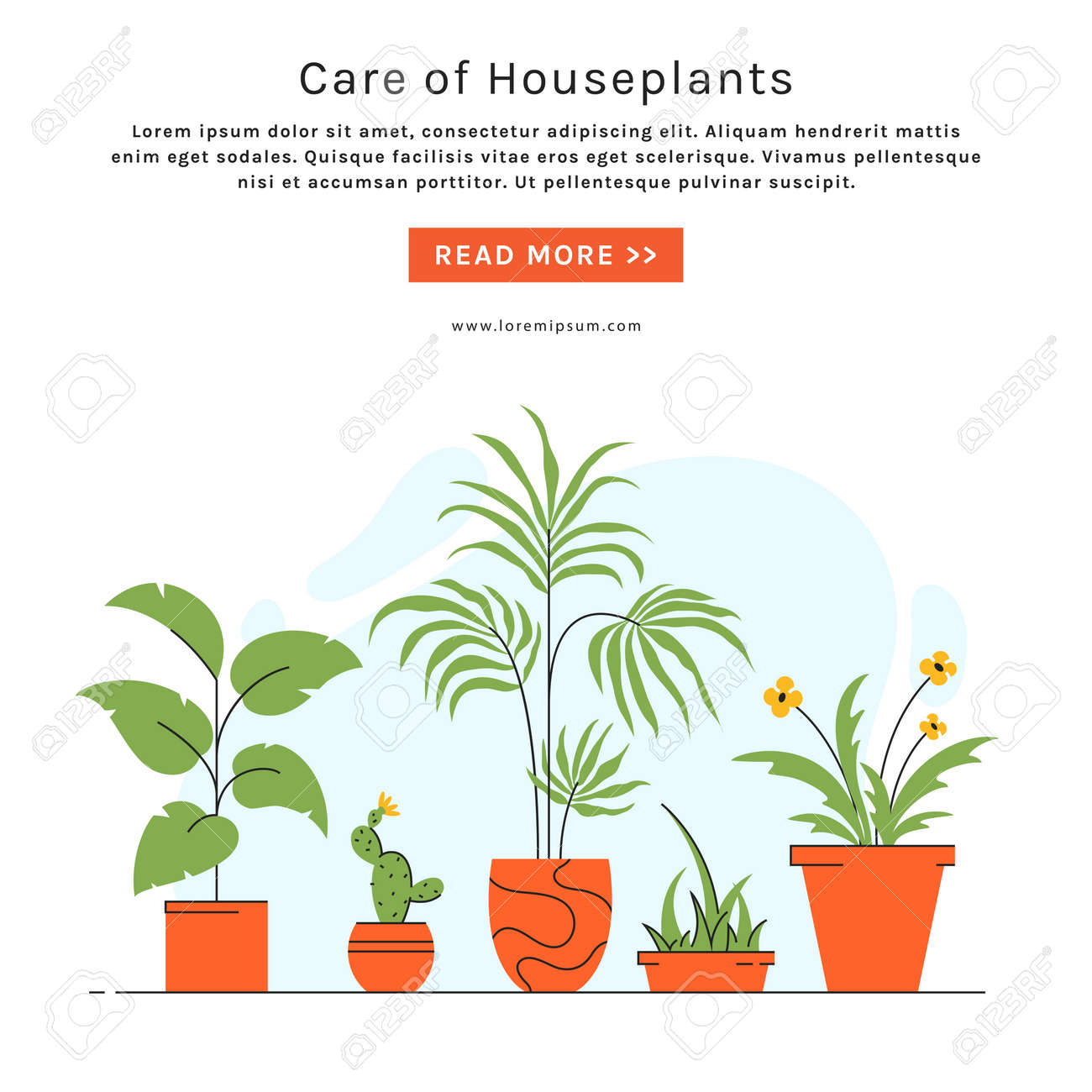 Houseplant care banner with place for text. Indoor plants in pots. Vector illustration in trendy style. - 158641222 Houseplant care banner with place for text. Indoor plants in pots. Vector illustration in trendy style. - 158641222