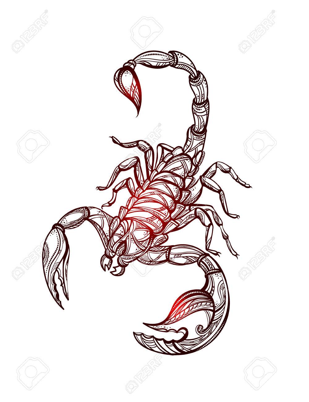 サソリのタトゥーをベクトルします のイラスト素材 ベクタ Image