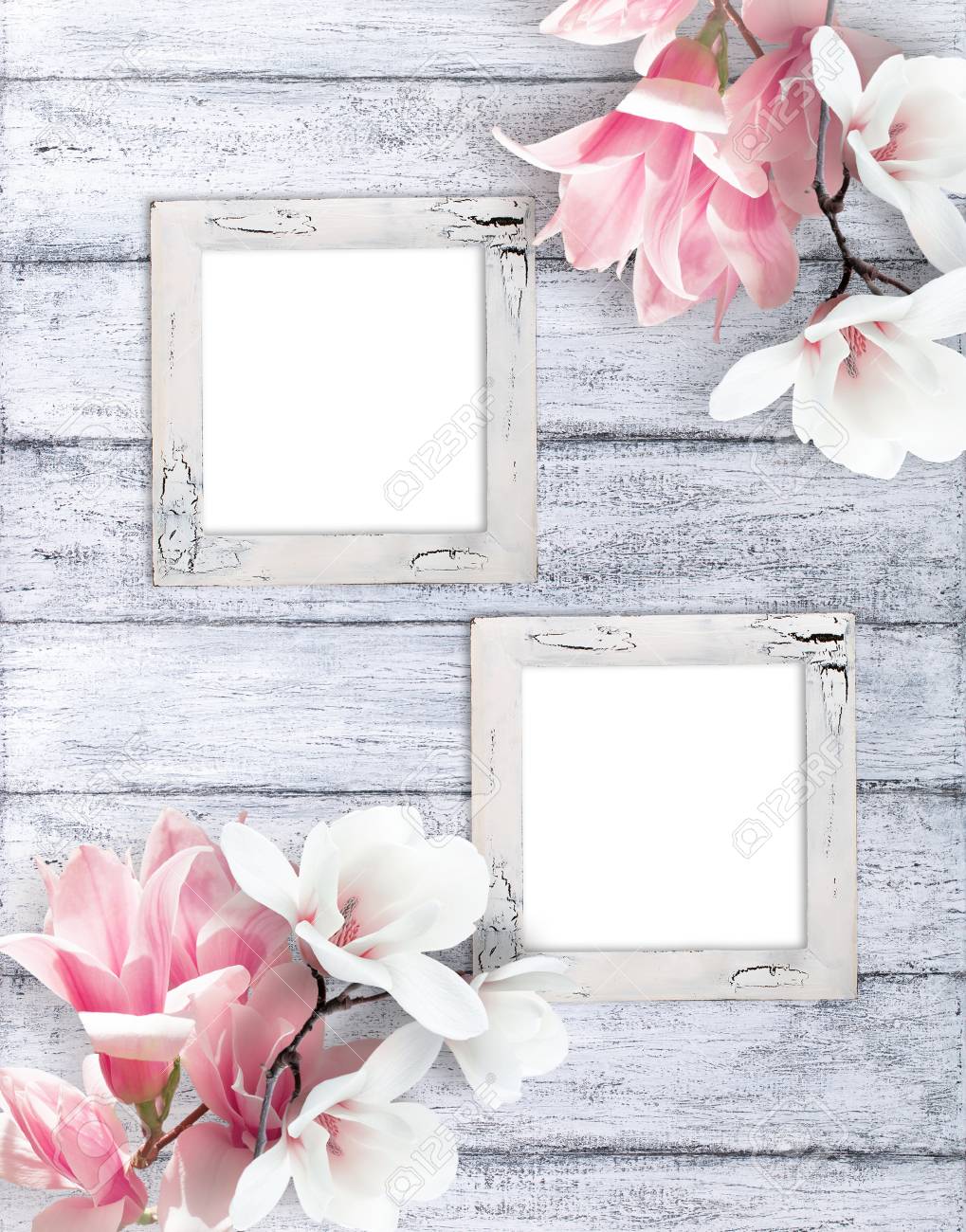 Two Retro Empty Photo Frames With Magnolia Flowers On Background Stock Photo Picture And Royalty Free Image Image 84610215
