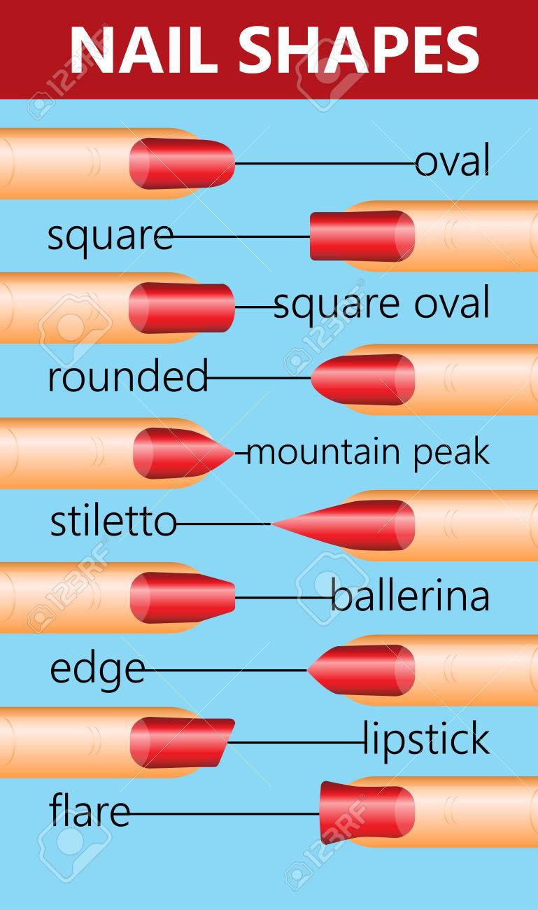 種類の爪形状爪ファッションのトレンド ベクトルの図 のイラスト素材 ベクタ Image
