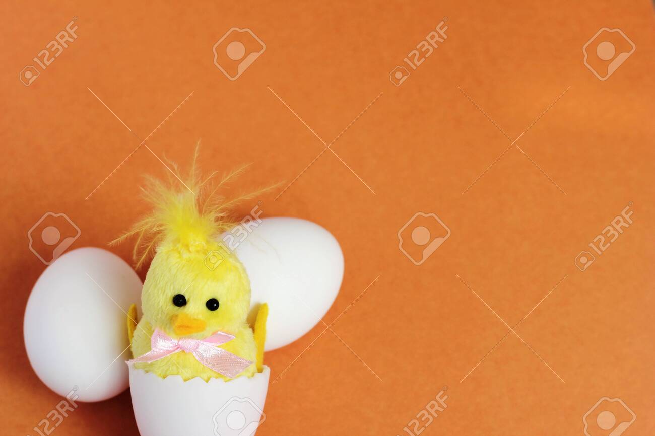 chicken egg toy
