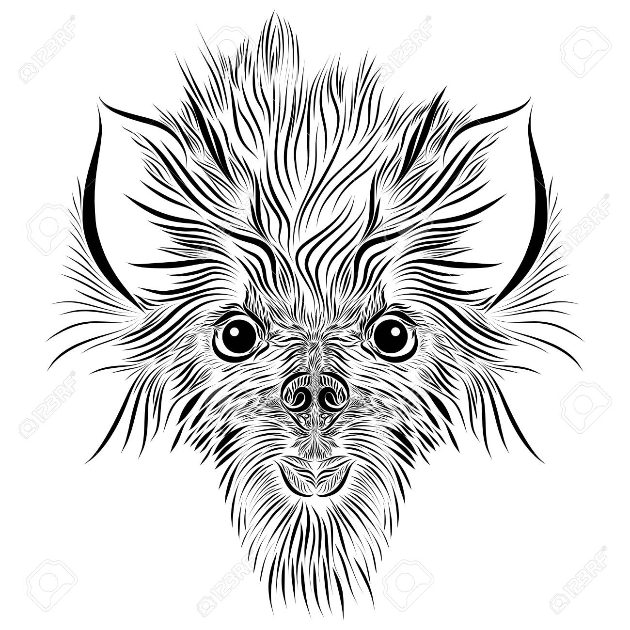 pic Wolf Ears Drawing Colored 123rf