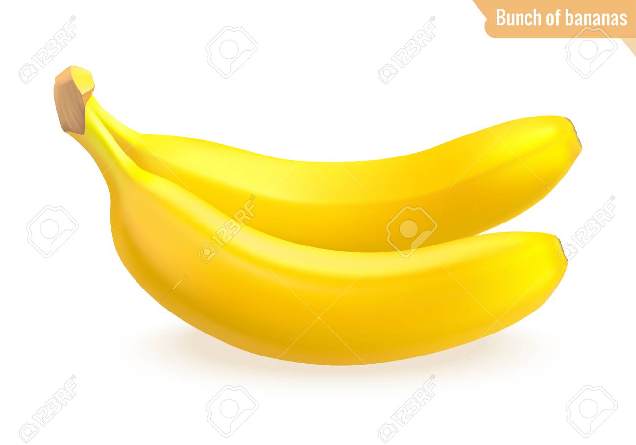 白い背景に隔離されたバナナの束 現実的な果物 熟したバナナが2つベクトルイラスト のイラスト素材 ベクタ Image