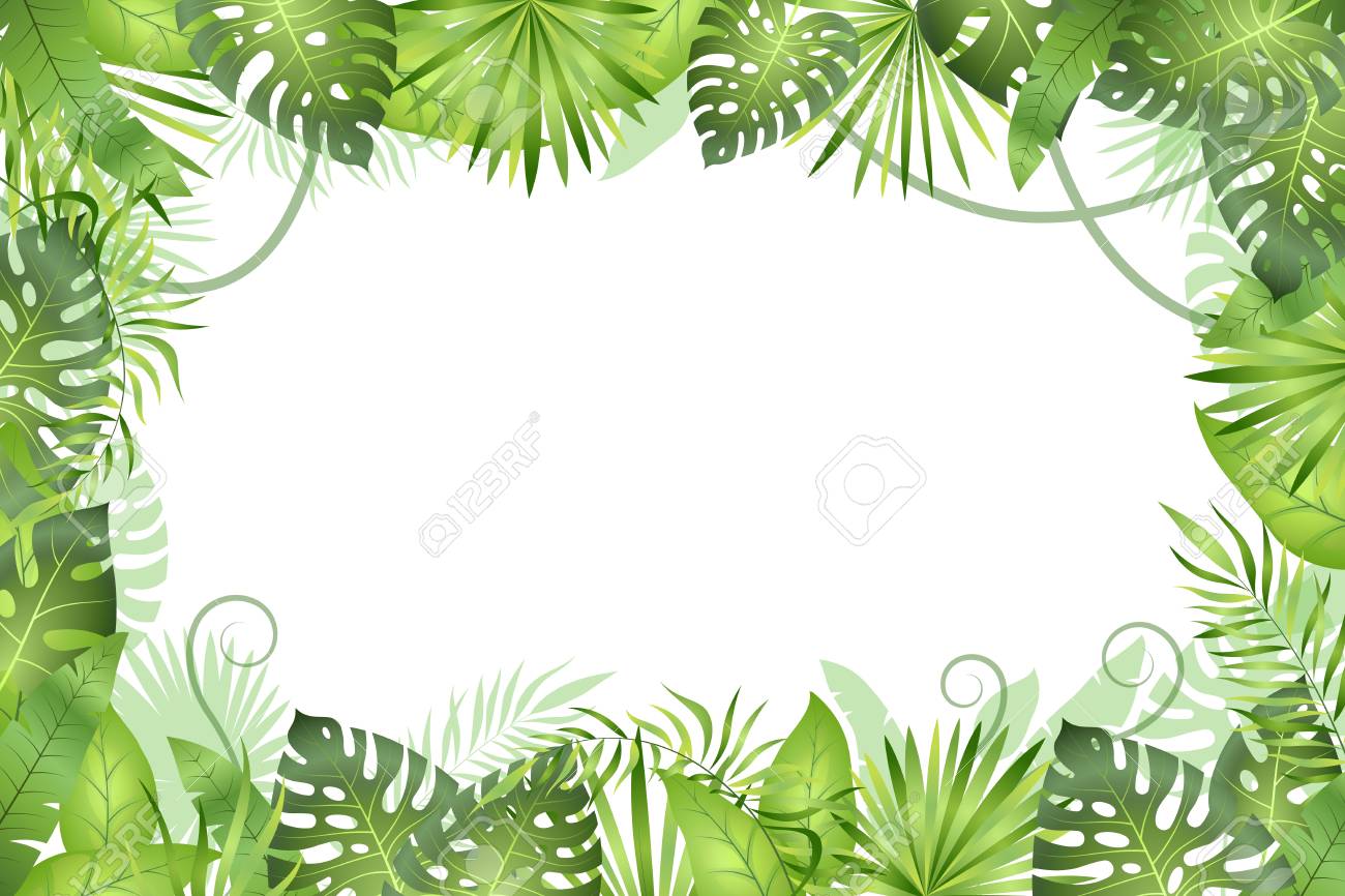 Jungle background. Tropical leaves frame. Rainforest foliage plants, green grass trees. Paradise african wildlife jungle vector frame - 116391588 Jungle background. Tropical leaves frame. Rainforest foliage plants, green grass trees. Paradise african wildlife jungle vector frame - 116391588