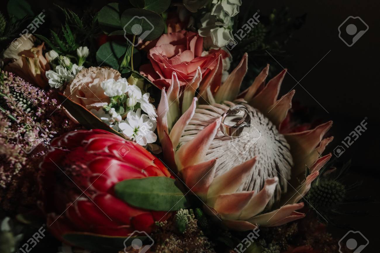 プロテアの花の花嫁の花束に結婚指輪 の写真素材 画像素材 Image