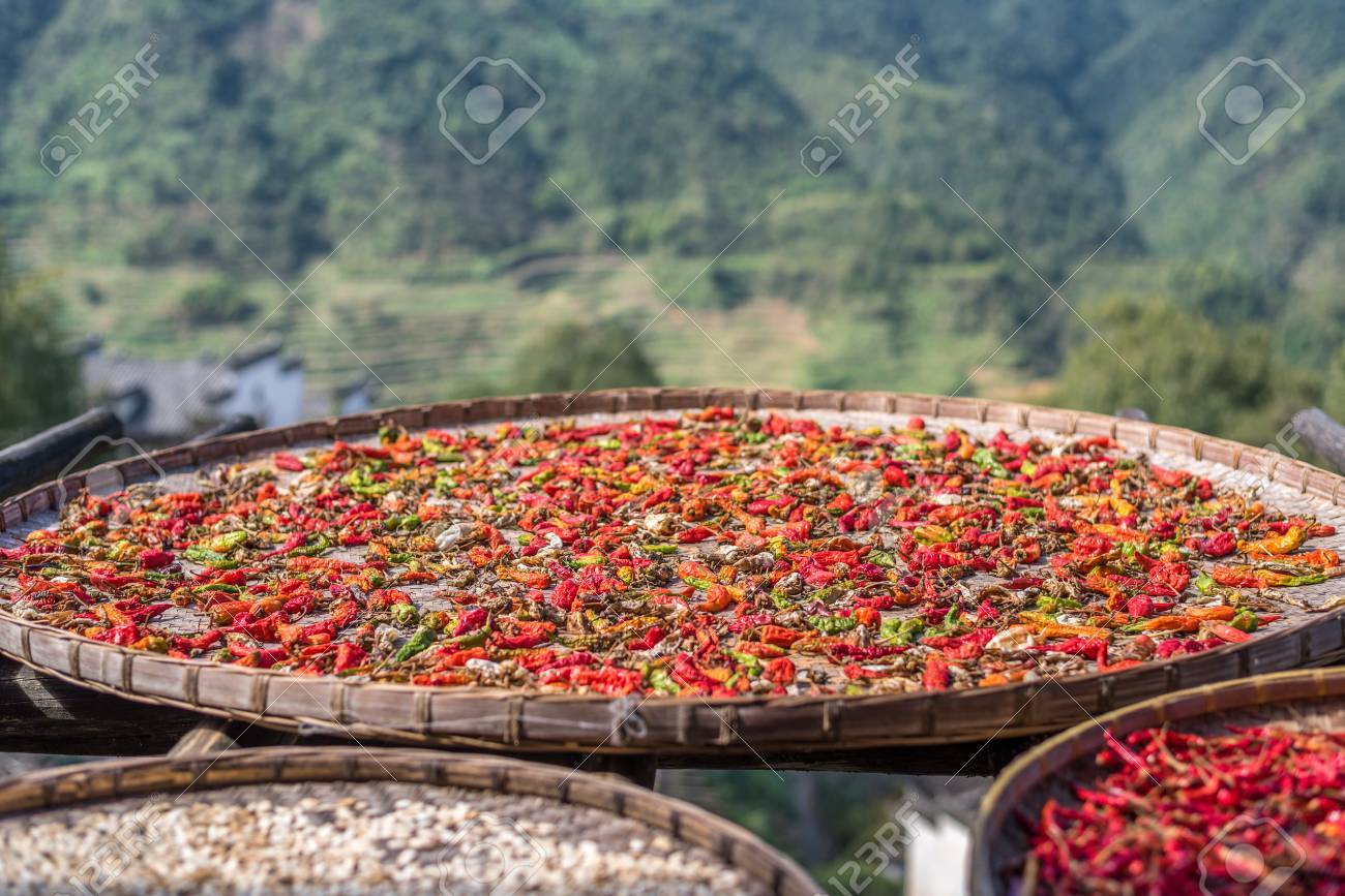 武淵黄リン村人その作物を乾燥 の写真素材 画像素材 Image