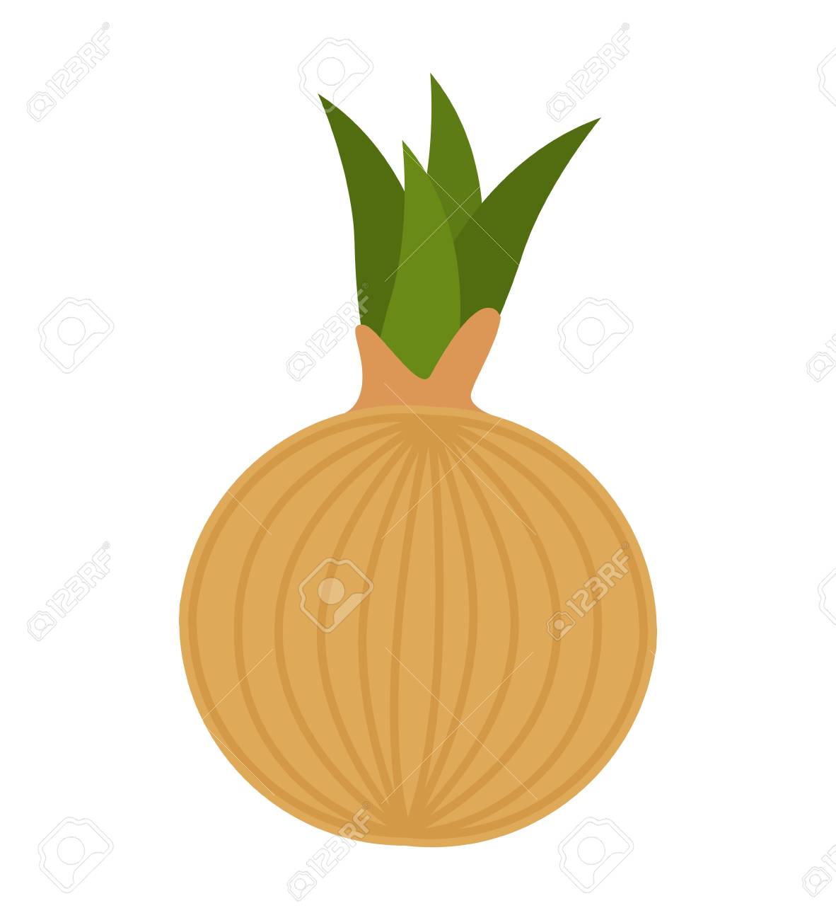 ニンニク野菜健康アイコン ベクトル イラスト デザインのイラスト素材