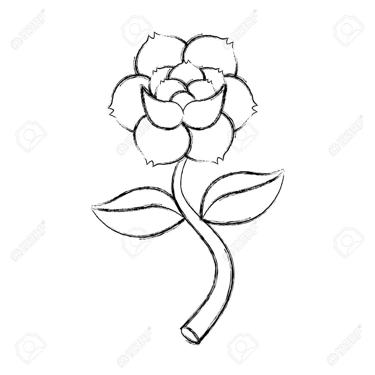 Rose Flower Tattoo Icon Vector Illustration Design Royalty Free Cliparts Vectors And Stock Illustration Image Rose Flower Tattoo Icon Vector Illustration Design Royalty Free Cliparts Vectors And Stock Illustration Image