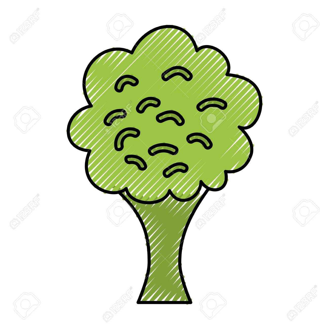 ブロッコリー新鮮な野菜分離アイコン ベクトル イラスト デザインの