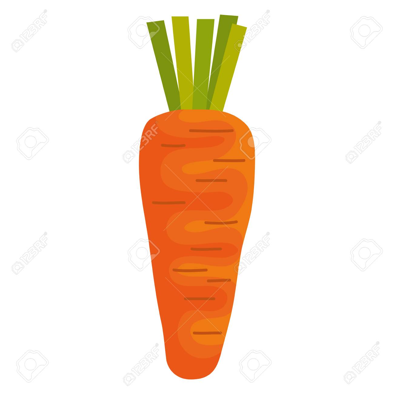 ニンジン新鮮な分離アイコン ベクトル イラスト デザイン のイラスト素材 ベクタ Image