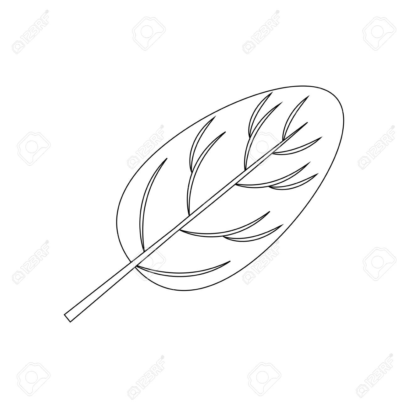 Spinat Blatt Symbol Auf Weissem Hintergrund Vektor Illustration Lizenzfrei Nutzbare Vektorgrafiken Clip Arts Illustrationen Image 83818987