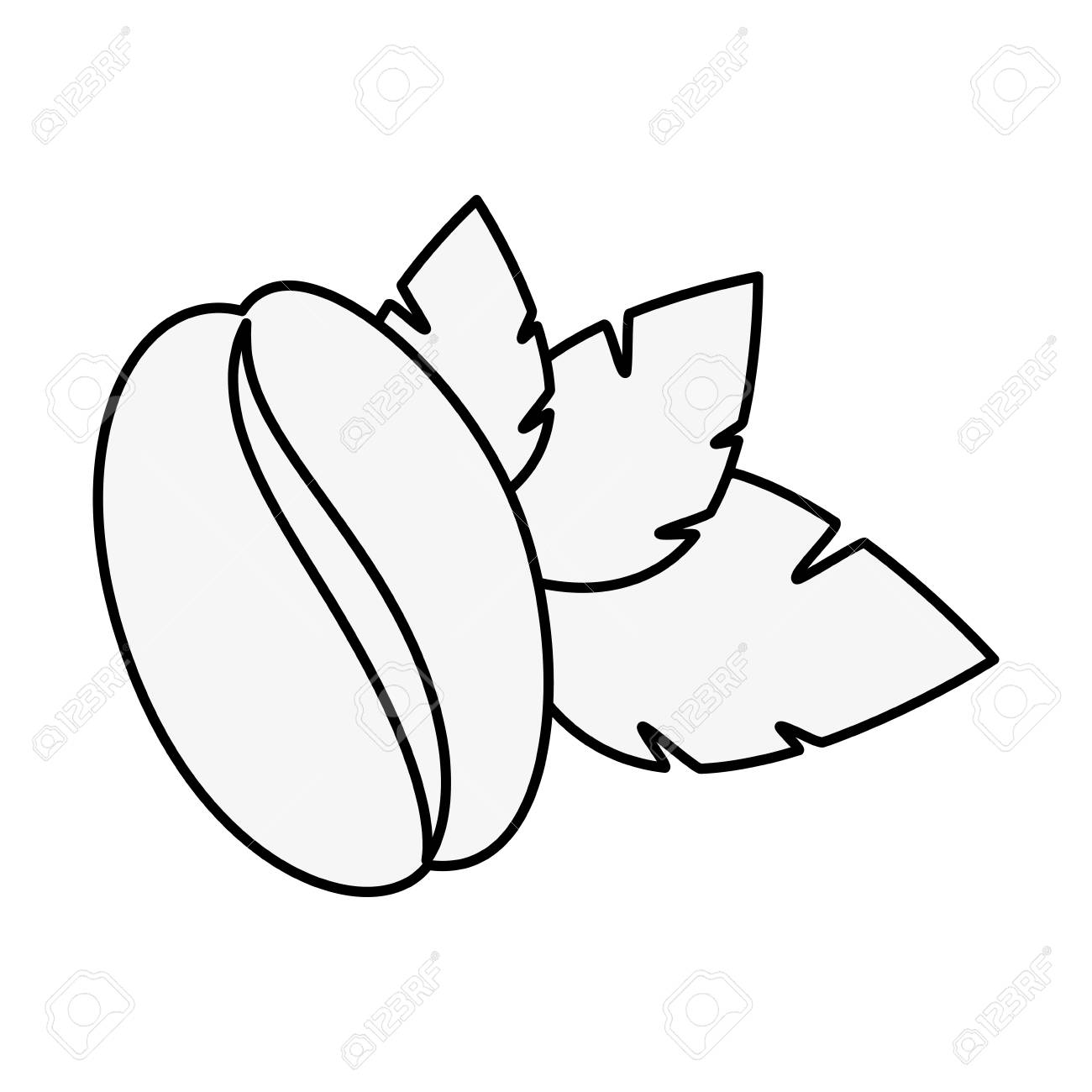 Eine Kaffeebohne Und Blatter Symbol Auf Weissem Hintergrund Vektor Illustration Lizenzfrei Nutzbare Vektorgrafiken Clip Arts Illustrationen Image 84217328