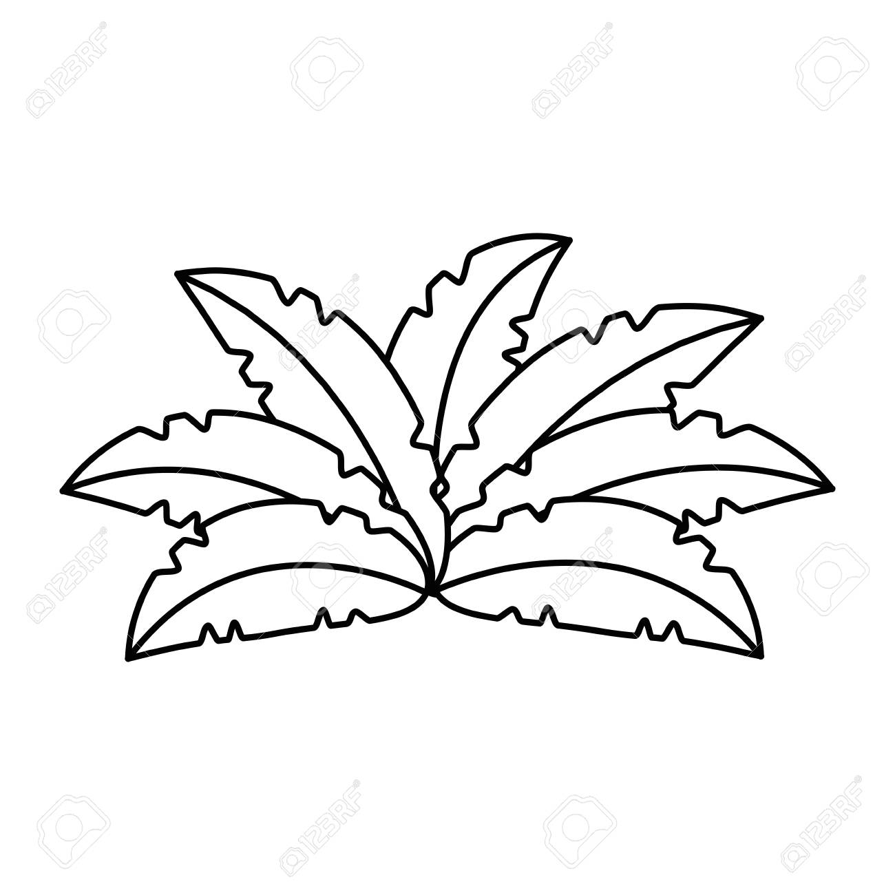 ブッシュのアイコン ベクトルのイラスト デザインのエキゾチックなジャングルのイラスト素材 ベクタ Image