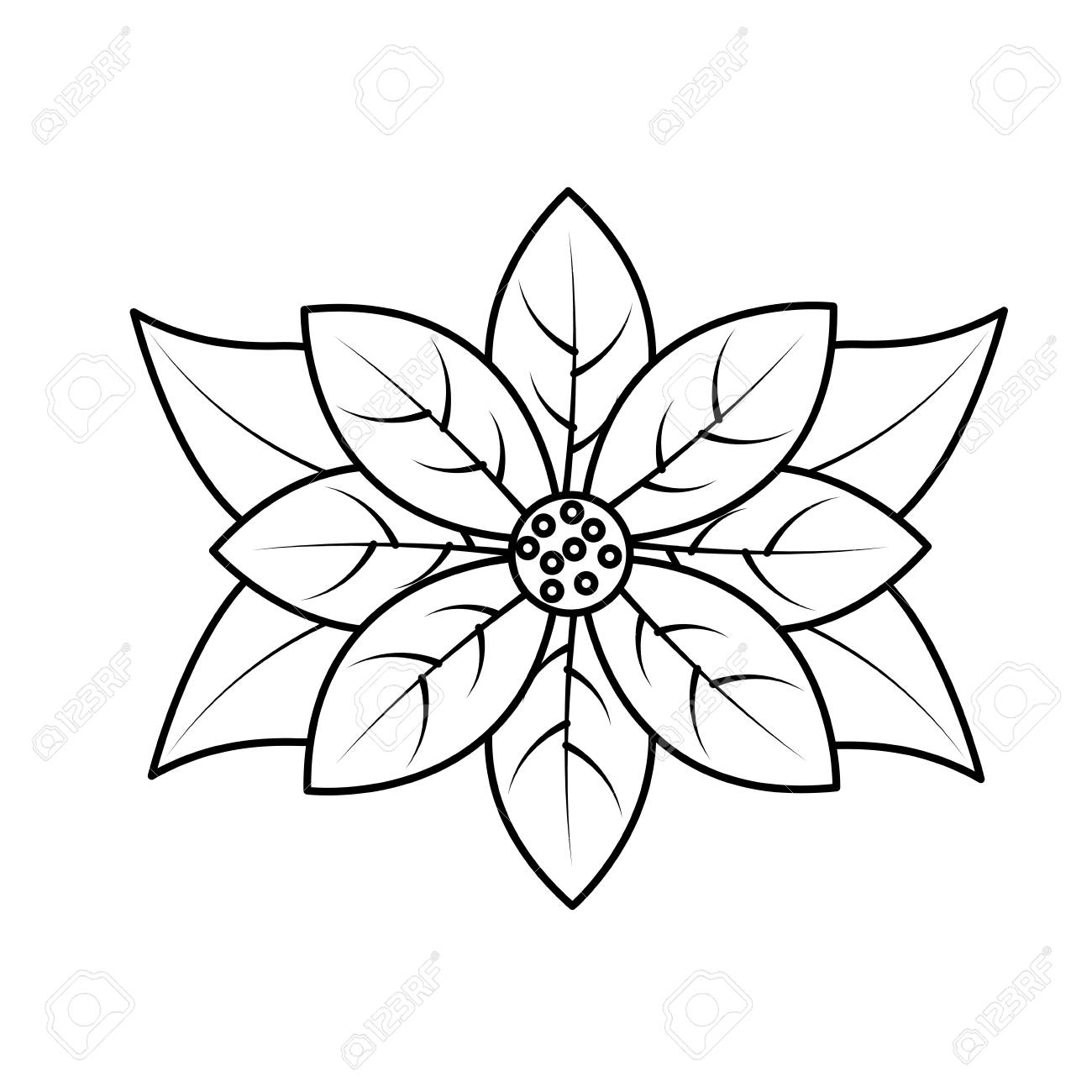pix Imagenes De Noche Buena Para Colorear 123rf