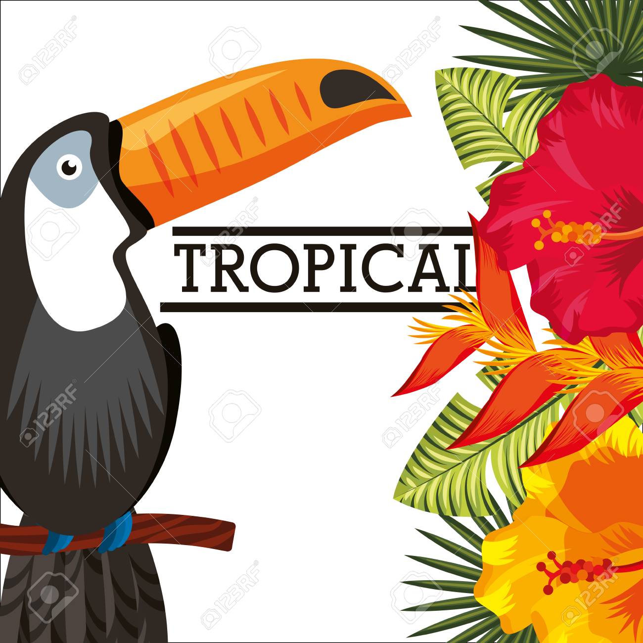 オオハシ鳥ハイビスカス熱帯花葉動物ベクターイラスト のイラスト素材 ベクタ Image