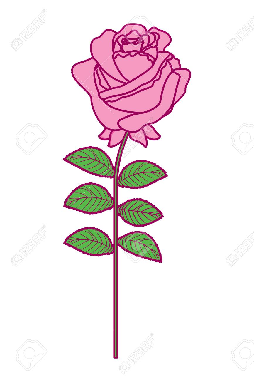 繊細な花のバラの茎は 自然の装飾ベクトルイラストピンクと緑のイメージを残しますのイラスト素材 ベクタ Image