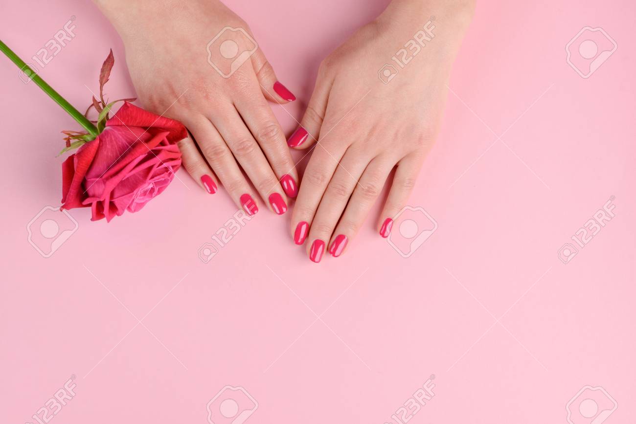 Elegant and glamorous pink nails. Womans well-groomed hands and rosebud. Classic style manicure. - 107037256 Elegant and glamorous pink nails. Womans well-groomed hands and rosebud. Classic style manicure. - 107037256