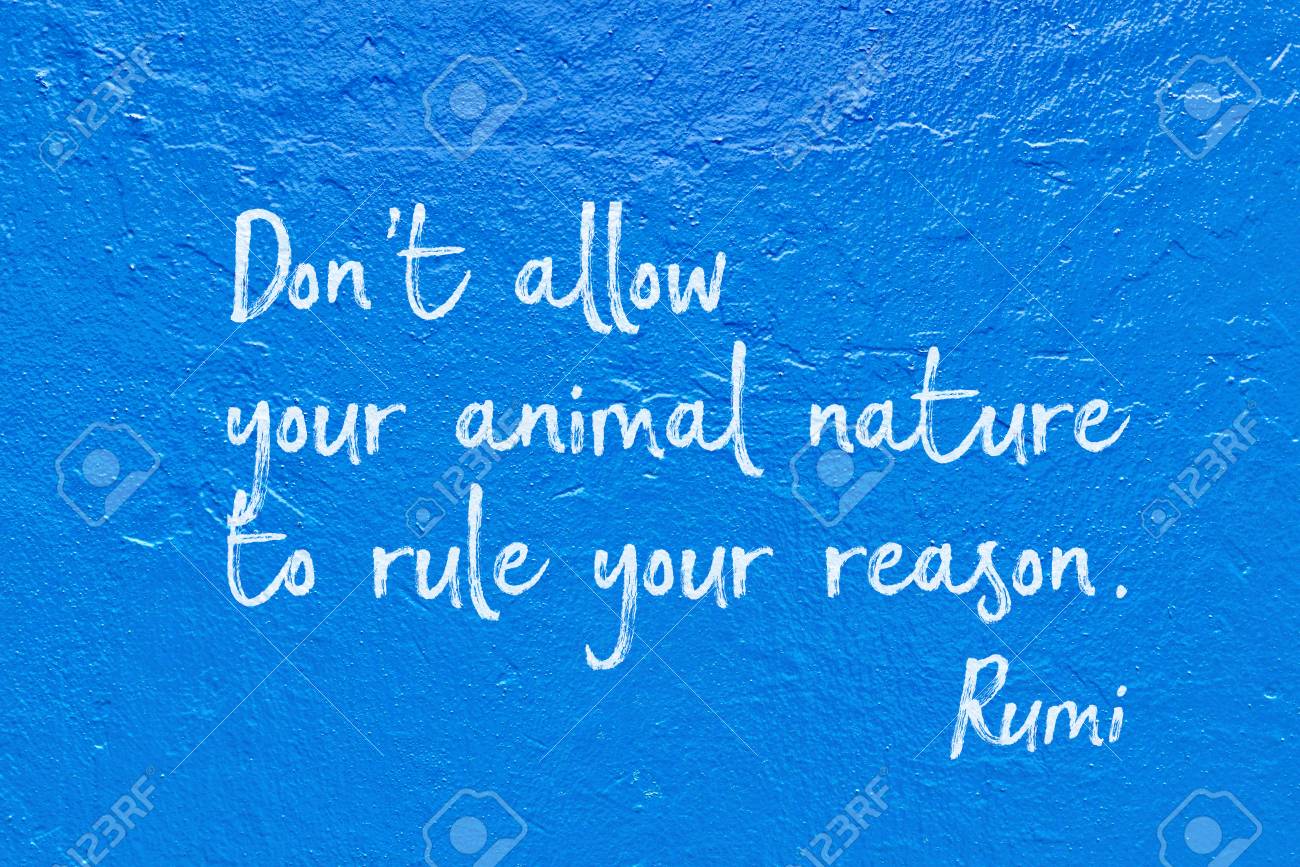 Ne Permettez Pas A Votre Nature D Animal De Gouverner Votre Raison Ancienne Poete Perse Et Philosophe Rumi Citation Manuscrite Sur Le Mur Bleu Banque D Images Et Photos Libres De Droits Image