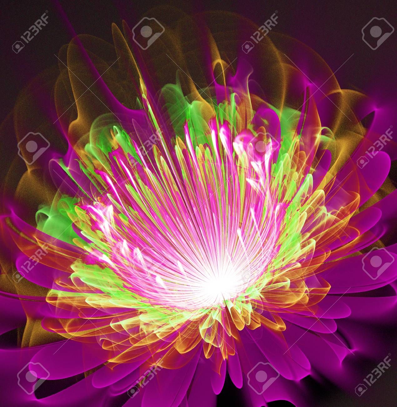 Un Magnífico Ejemplo De La Flor Brillante Brillante Fractal Fotos, Retratos, Imágenes Y Fotografía De Archivo Libres De Derecho. Image 70619721. Un Magnífico Ejemplo De La Flor Brillante Brillante Fractal Fotos, Retratos, Imágenes Y Fotografía De Archivo Libres De Derecho. Image 70619721.