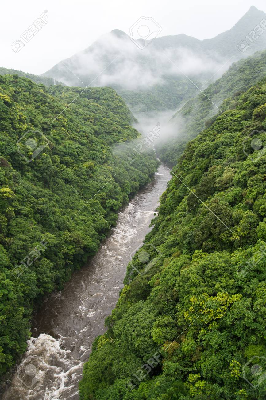 水かさの増した川 の写真素材 画像素材 Image