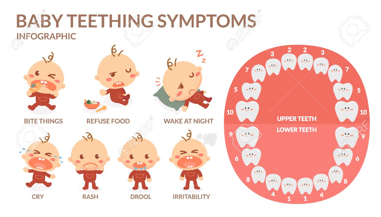 Baby teething symptoms. Rash, Drool, Irritability, Refuse food , Bite, Cry, Wake at night. Don't sleep well. - 75321986 Baby teething symptoms. Rash, Drool, Irritability, Refuse food , Bite, Cry, Wake at night. Don't sleep well. - 75321986