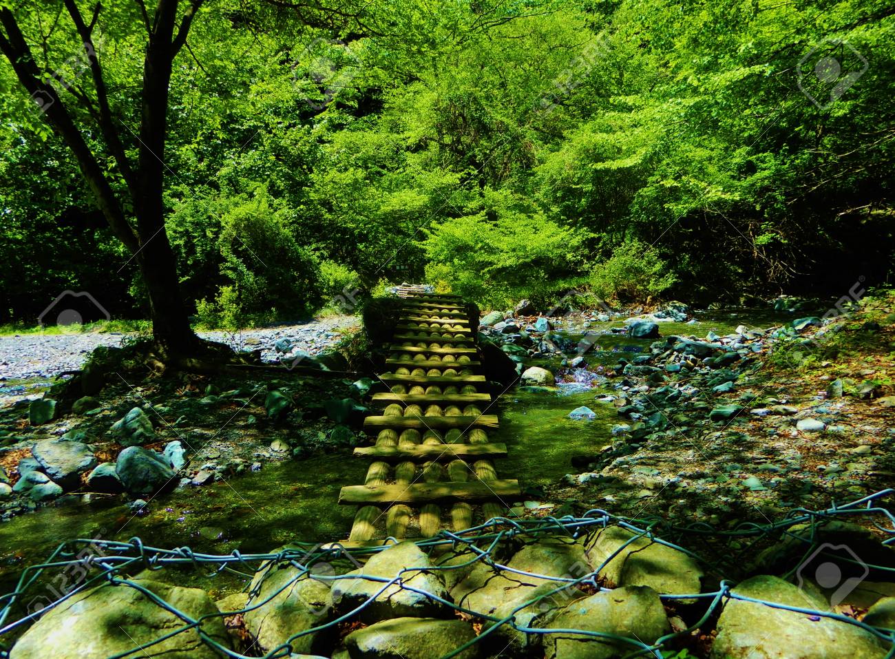 etiam-dictum-ipsum-a-felis