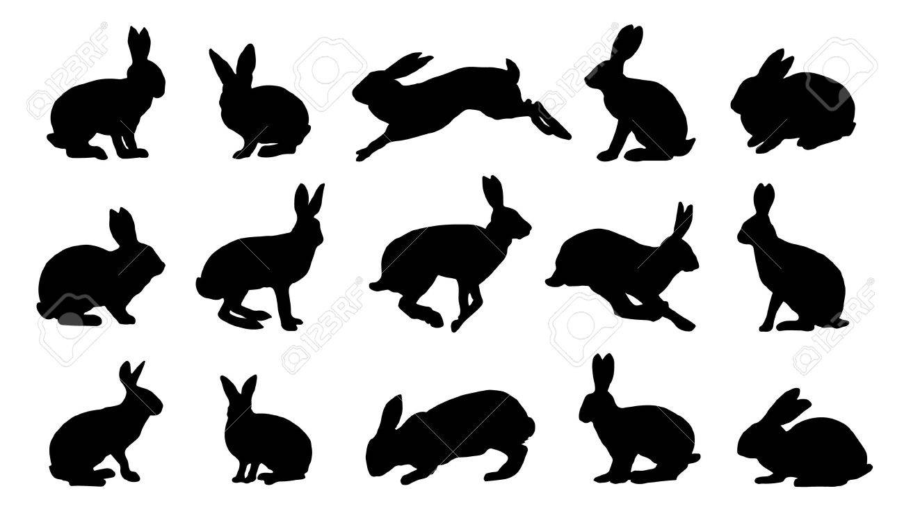 Rabbit Silhouettes On The White Background Royalty Free Svg Cliparts Vectors And Stock Illustration Image