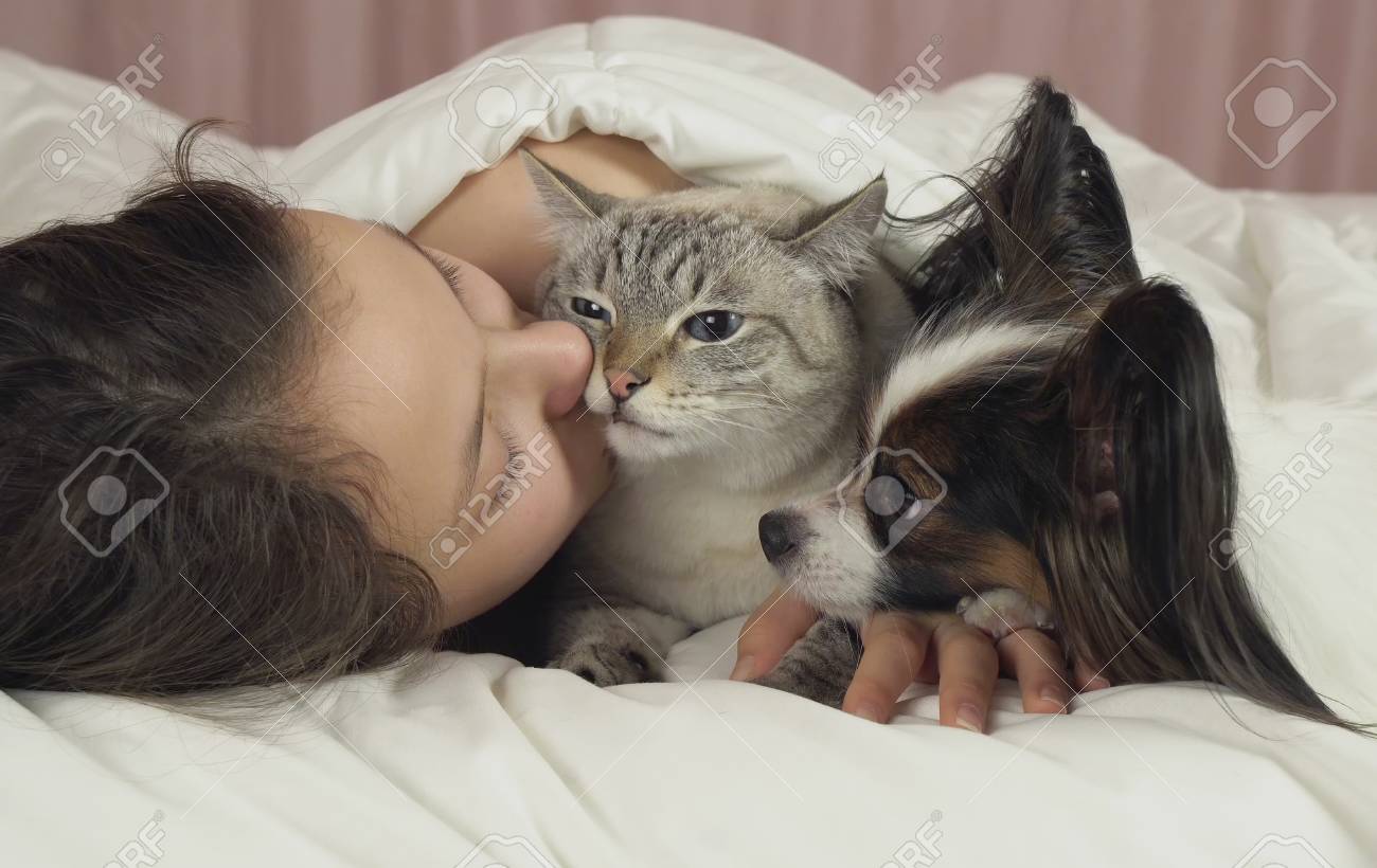 Happy Teen Girl Communicates With Dog Papillon And Thai Cat In