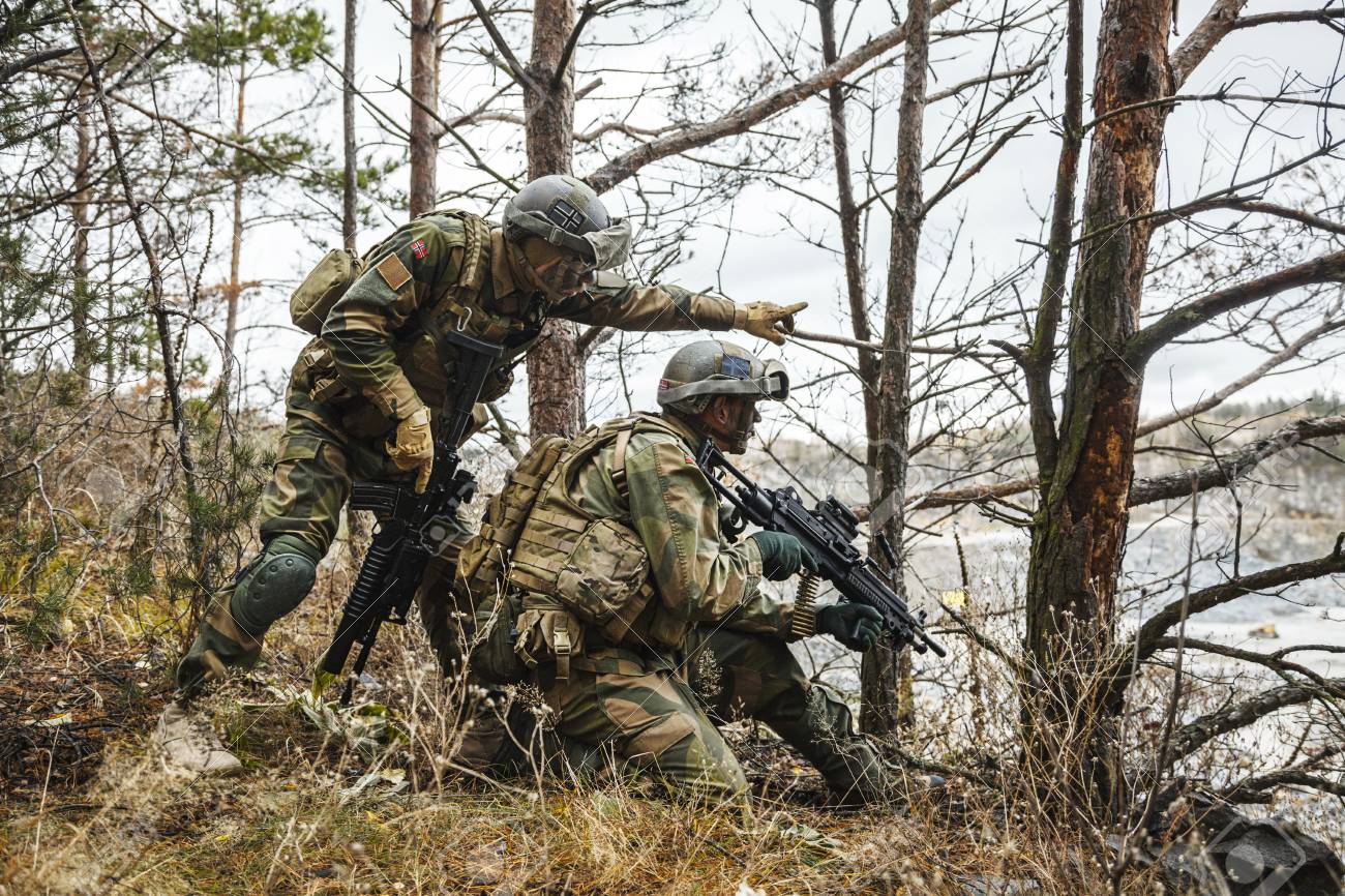 ノルウェー急速な反応特殊部隊フィールド制服森林樹木のスカウトで Fsk 兵士 の写真素材 画像素材 Image ノルウェー急速な反応特殊部隊フィールド制服森林樹木のスカウトで Fsk 兵士 の写真素材 画像素材 Image