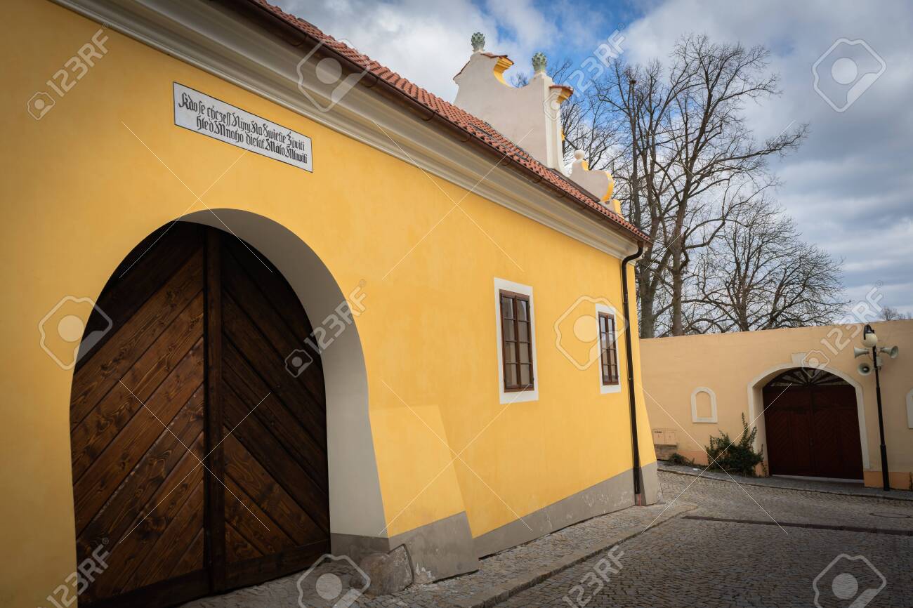 etiam-dictum-ipsum-a-felis