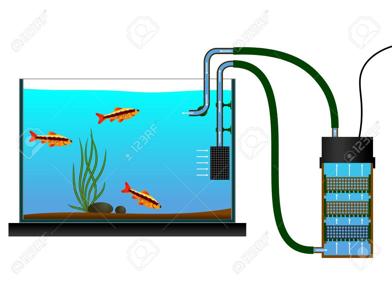 bio filter aquarium