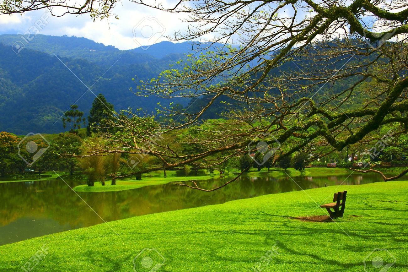 Panoramic View Of Public Lake Garden At Taiping Perak Malaysia Stock Photo Picture And Royalty Free Image Image 9171365