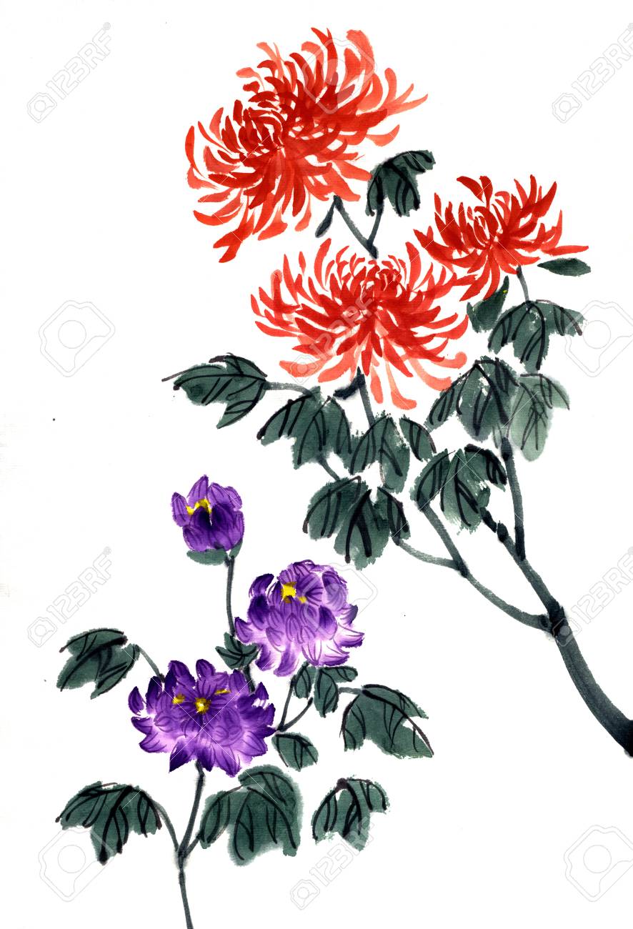 菊花。圖式的國華免版權照片，圖片，畫像及圖片庫. Image 69141136 