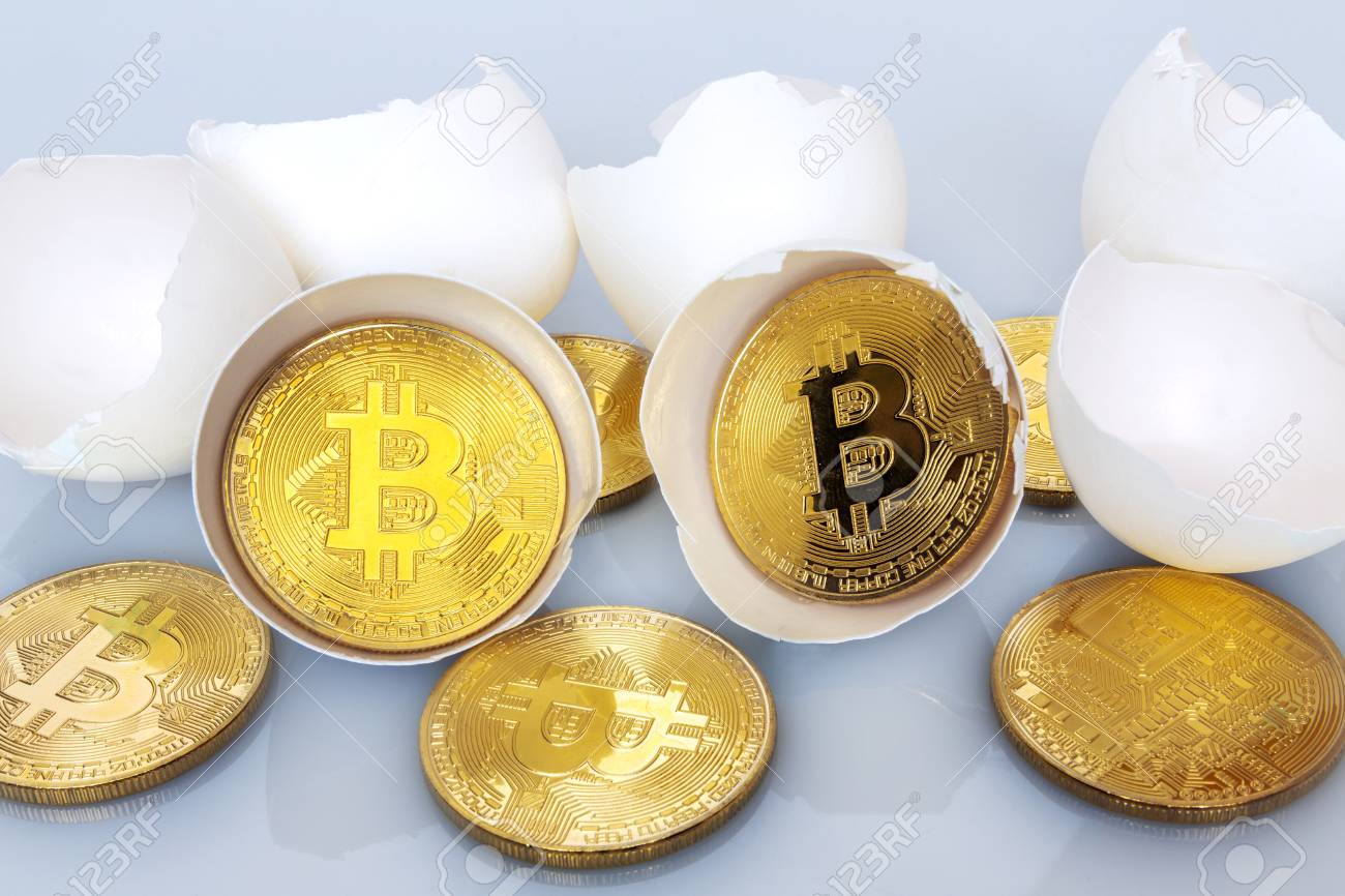 The Birth Of Bitcoin. Bitco Hatch From Eggs. Stock Photo, Picture and  Royalty Free Image. Image 97943921.
