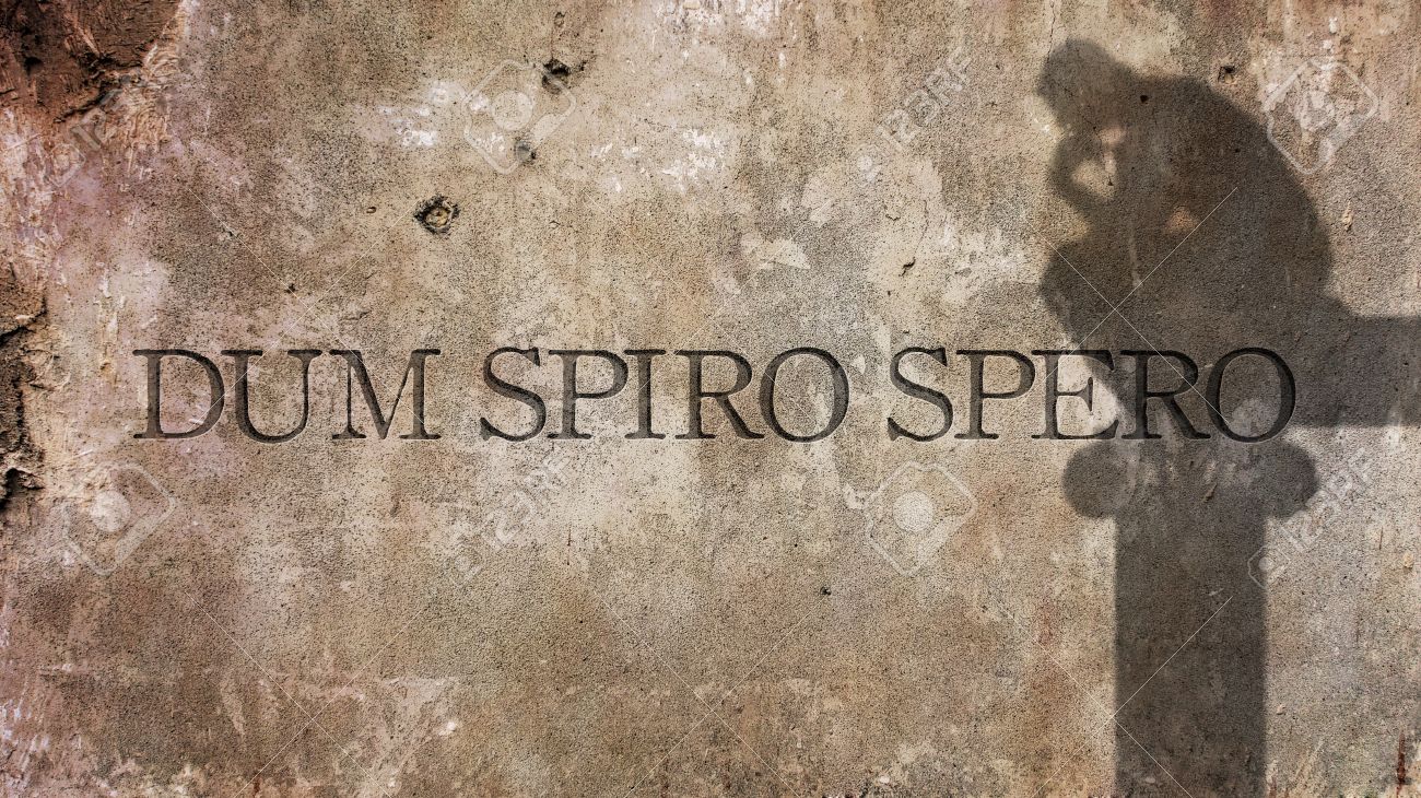 Solange Ich Am Leben Bin Es Gibt Hoffnung Eine Lateinische Satz Bedeutet Dass Bedeutet Wahrend Ich Atme Hoffe Ich Lizenzfreie Fotos Bilder Und Stock Fotografie Image 63100348