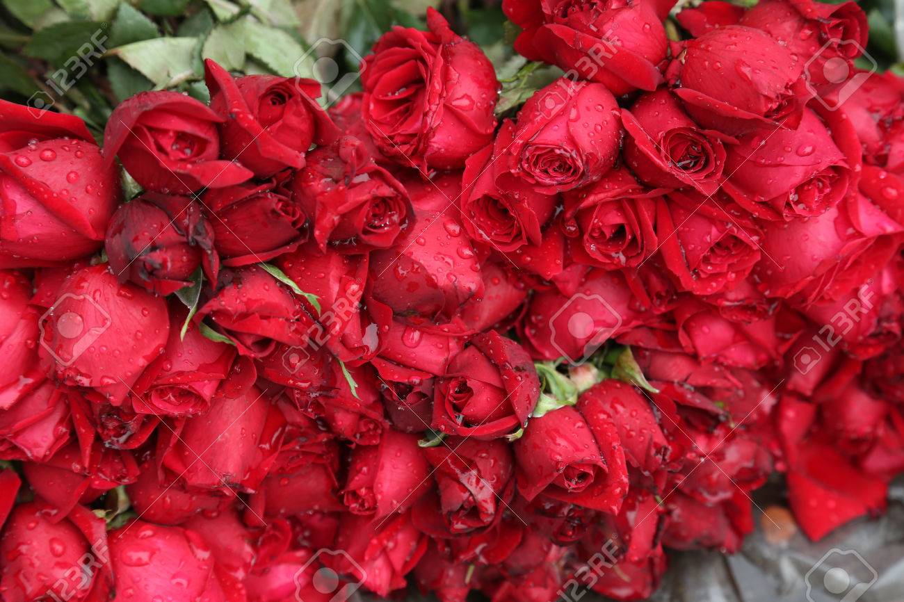 Fleurs Et Guirlandes Pour La Vente Au Marché Aux Fleurs à Lombre Du Pont Haora à Kolkata West Bengal Inde