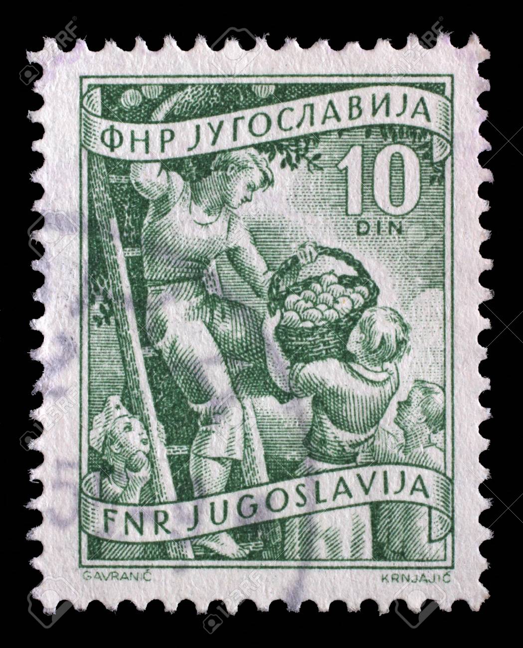 Stamp printed in Yugoslavia shows fruit rowing, domestic economy series, stamp for surcharges, circa 1952 - 45210392 Stamp printed in Yugoslavia shows fruit rowing, domestic economy series, stamp for surcharges, circa 1952 - 45210392