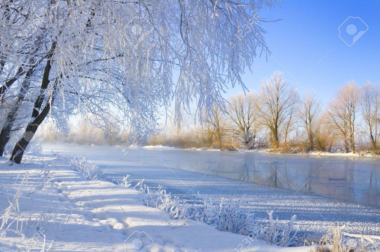 Frozen River And Trees In Winter Season Stock Photo, Picture And ...