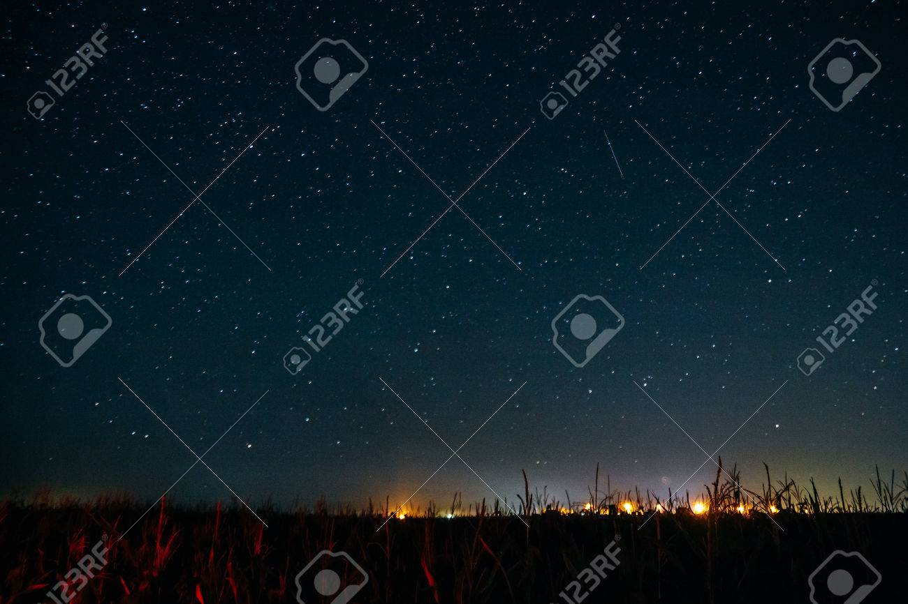 Un Champ De Maïs Et De Ciel étoilé Avec étoile Filante