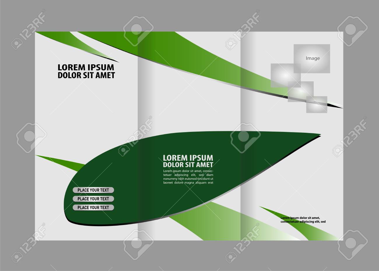 professional business trifold brochure template or flyer design